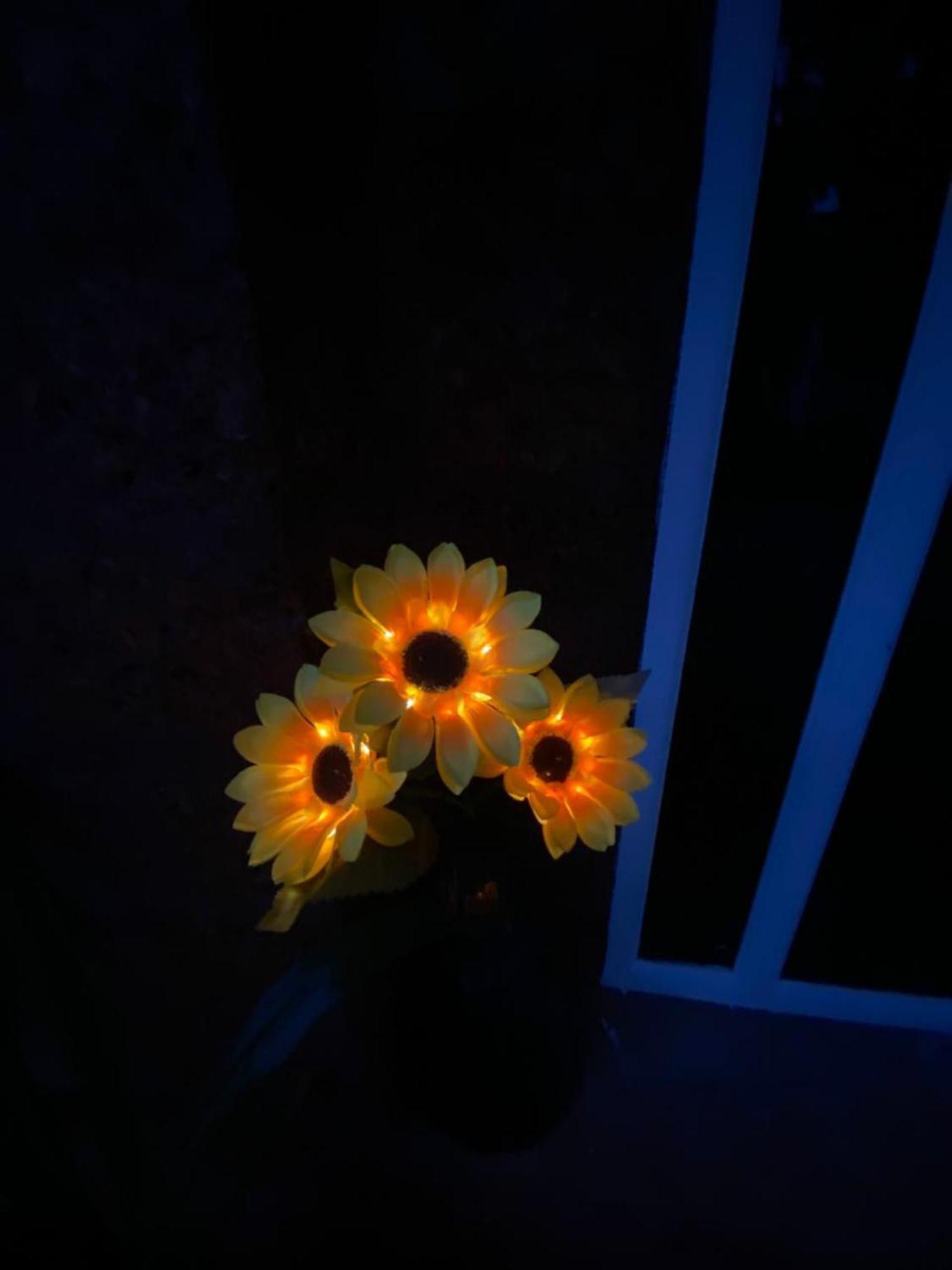 فندق The Charming Nights بالوليم المظهر الخارجي الصورة